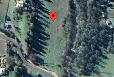 Teren de 14540 mp, în Neagra - 3
