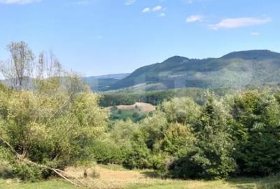 Teren de 70290 mp, în Poiana Ampoiului - 12