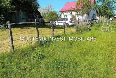 Teren de 5596 mp, în Bradu