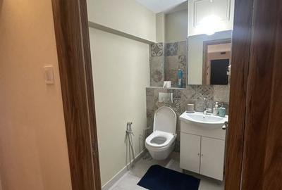 Apartament cu 3 camere decomandat în Lăpuș Argeș - 2