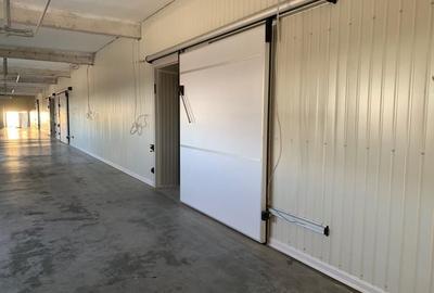 Spațiu industrial, de 1,700 mp, în Vest - 5