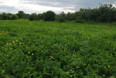 Teren în Tărtășești - 2