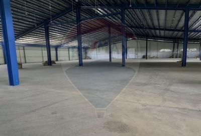 Spațiu industrial, de 9,618 mp, în Central - 5