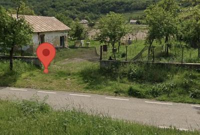 Teren de 4306 mp, în Ciucurova