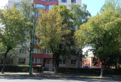 Apartament cu 3 camere semidecomandat în Coșeni