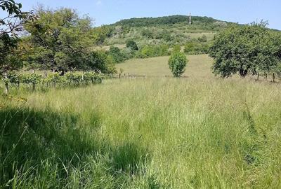 Casă cu 2 camere cu Teren 1600 Mp în Ghindari - 1