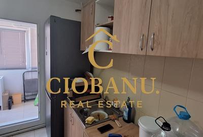 Apartament cu 2 camere decomandat, mobilat în Rovine - 7