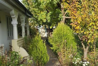 Casă cu Teren 1925 Mp în Gara Berheci - 4