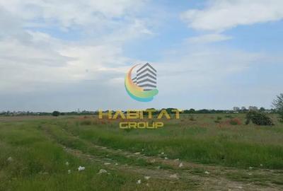 Teren în Măgurele