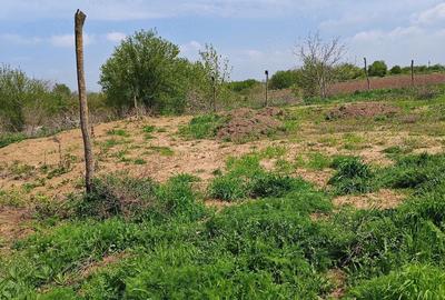 Teren de 580 mp, în Săftica - 3
