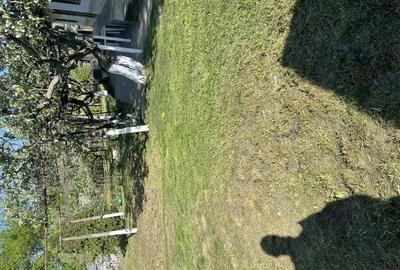 Casă cu 2 camere cu Teren 5500 Mp în Pogana - 2