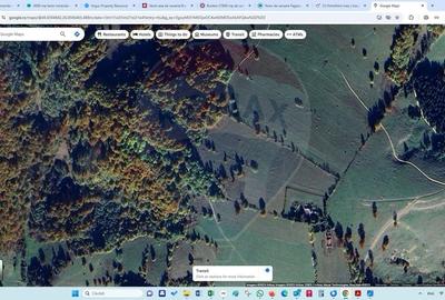 Teren extravilan de 5755 mp, în Sita Buzăului - 9