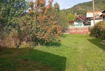 Teren de 900 mp, în Brânzari