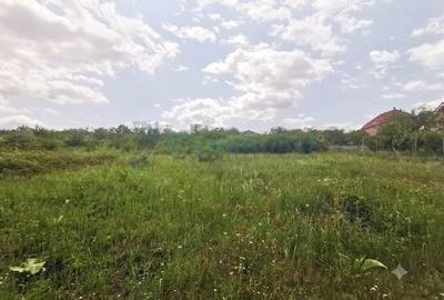 Teren Construcții de 8454 mp, în Dealuri Oradea - 2