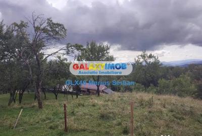 Teren în Breaza
