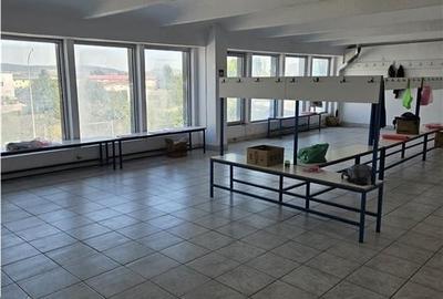 Spațiu industrial, de 3,300 mp, în Depozite - 24