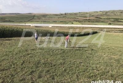 Teren de 5500 mp, în Stejeriș - 7