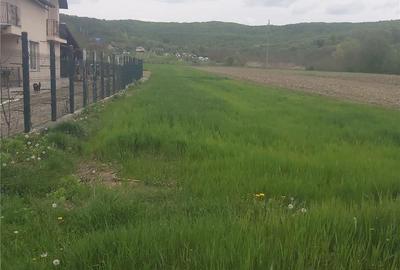 Teren de 2450 mp, în Băiculești - 4
