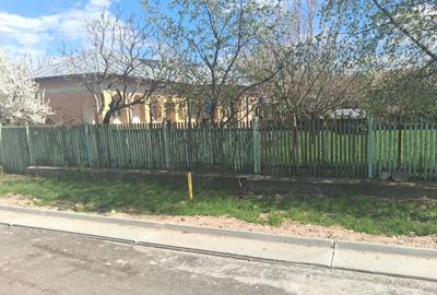 Casă cu 10 camere cu Teren 10000 Mp în Central - 2