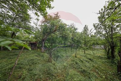Casă cu 5 camere cu Teren 396 Mp în Ungra - 22