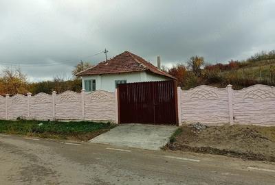 Casă cu 3 camere cu Teren 1350 Mp în Cervenița - 3