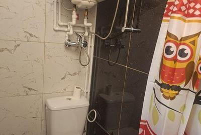 Garsonieră, mobilată în Valea Rosie - 3