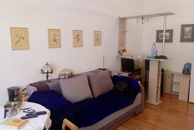 Garsonieră nedecomandată în Ultracentral - 2