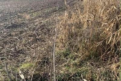 Teren de 2200 mp, în Dobreni