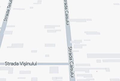 Spațiu comercial, în Sârbi - 3