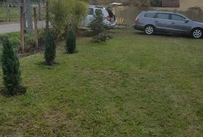 Casă cu Teren 1000 Mp în Central - 2