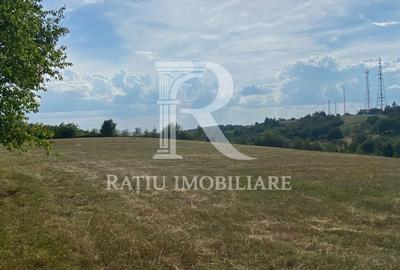 Teren de 17500 mp, în Șinteu