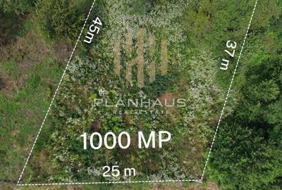 Teren intravilan de 1000 mp, în Ardusat - 2