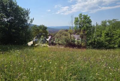 Teren Construcții intravilan de 1237 mp, în Secăriei - 2