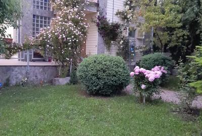 Casă cu 3 camere cu Teren 2500 Mp în Drajna - 2