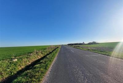 Teren agricol extravilan de 10000 mp, în Fântânele - 5
