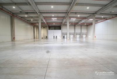 Spațiu industrial, de 2,910 mp, în Someșeni