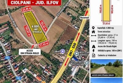 Teren de 4800 mp, în Ciolpani