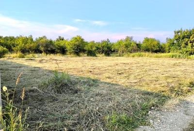 Teren de 500 mp, în Smeura - 3