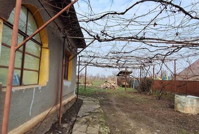 Casă individuală cu 3 camere cu Teren 1000 Mp în Teremia Mare - 2