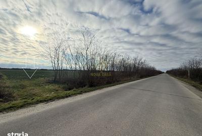 Teren de 6600 mp, în Botizului - 7