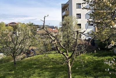 Spațiu comercial, în Bună Ziua - 8