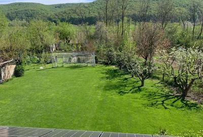 Casă cu Teren 1200 Mp în Calea Moldovei - 2
