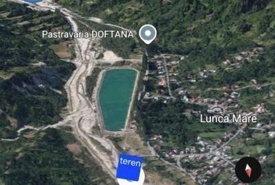 Teren extravilan de 2700 mp, în Podu Cheii - 6