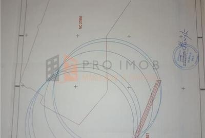 Teren agricol intravilan de 5000 mp, în Mărăcineni - 2