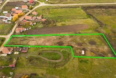 Teren Construcții intravilan de 6032 mp, în Păușa - 5