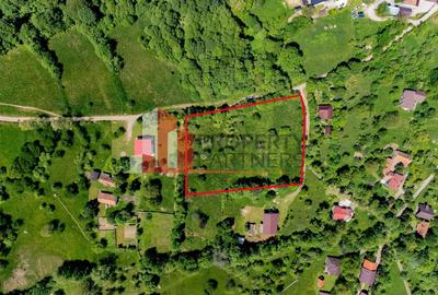 Teren Construcții intravilan de 6273 mp, în Bran - 3