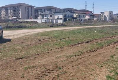 Teren de 5000 mp, în Dobroești - 3