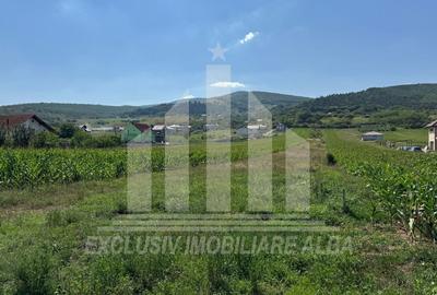 Teren Construcții intravilan de 5100 mp, în Micești - 4