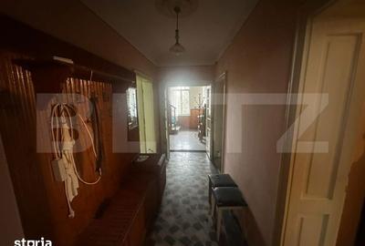 Casă cu 4 camere cu Teren 6197 Mp în Micula - 13