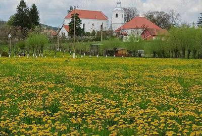Teren de 2000 mp, în Moacșa - 2